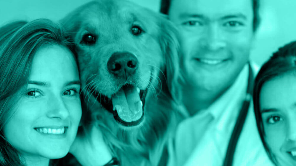 Five Essential Staff Development Tips for Veterinary Hospitals