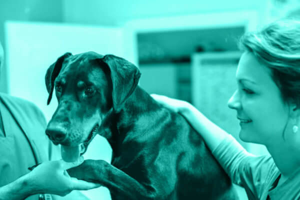 Can You Repeat That? Using the “Say It Once” Technique to Reduce Client Frustrations
