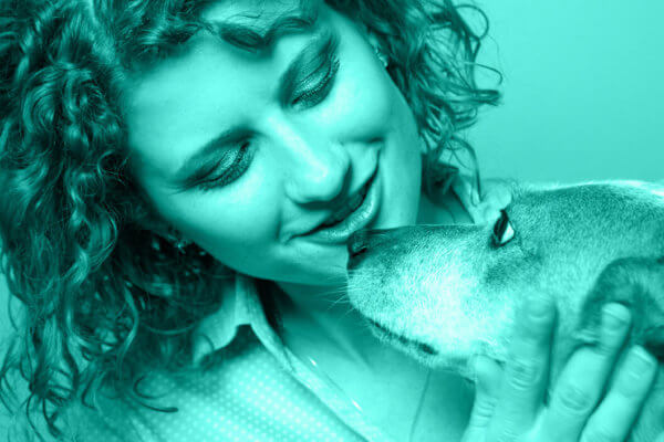 iVET360 announces Business Alliance Partnership with the Veterinary Hospital Managers Association