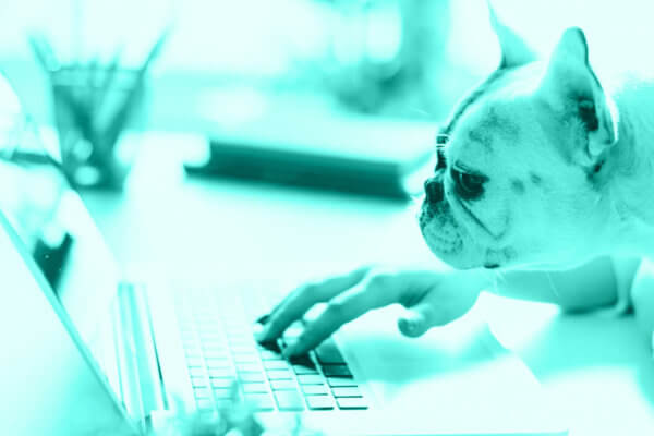 State of the Industry, Digital Marketing Part Four: Yelp Pages