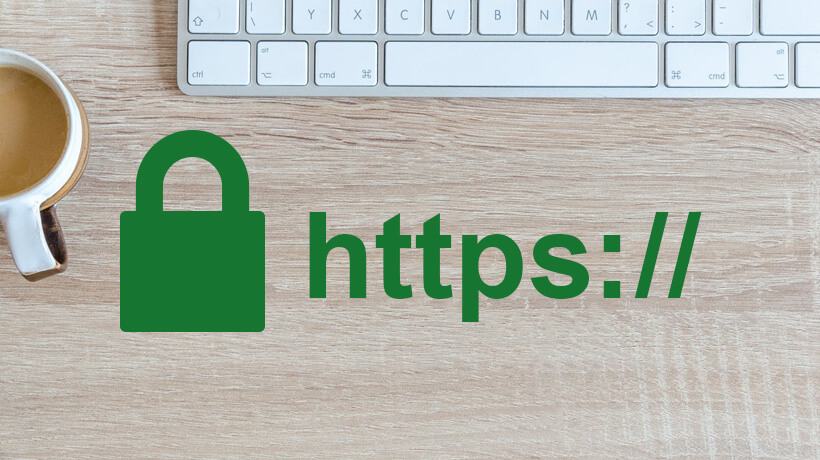 Think Your Veterinary Website is Secure? It Might Be Time to Double-Check!