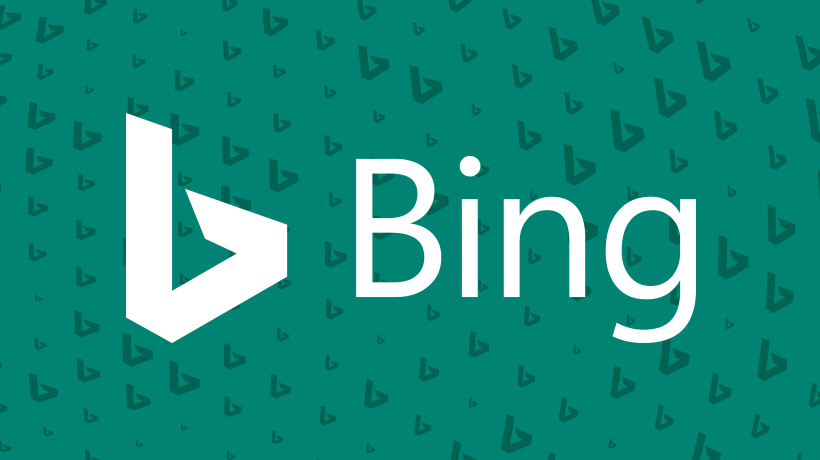 Why Your Animal Hospital Should Be Paying Attention to Bing