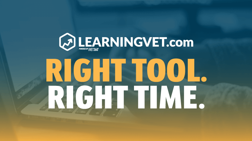 Re-Introducing LearningVet.com