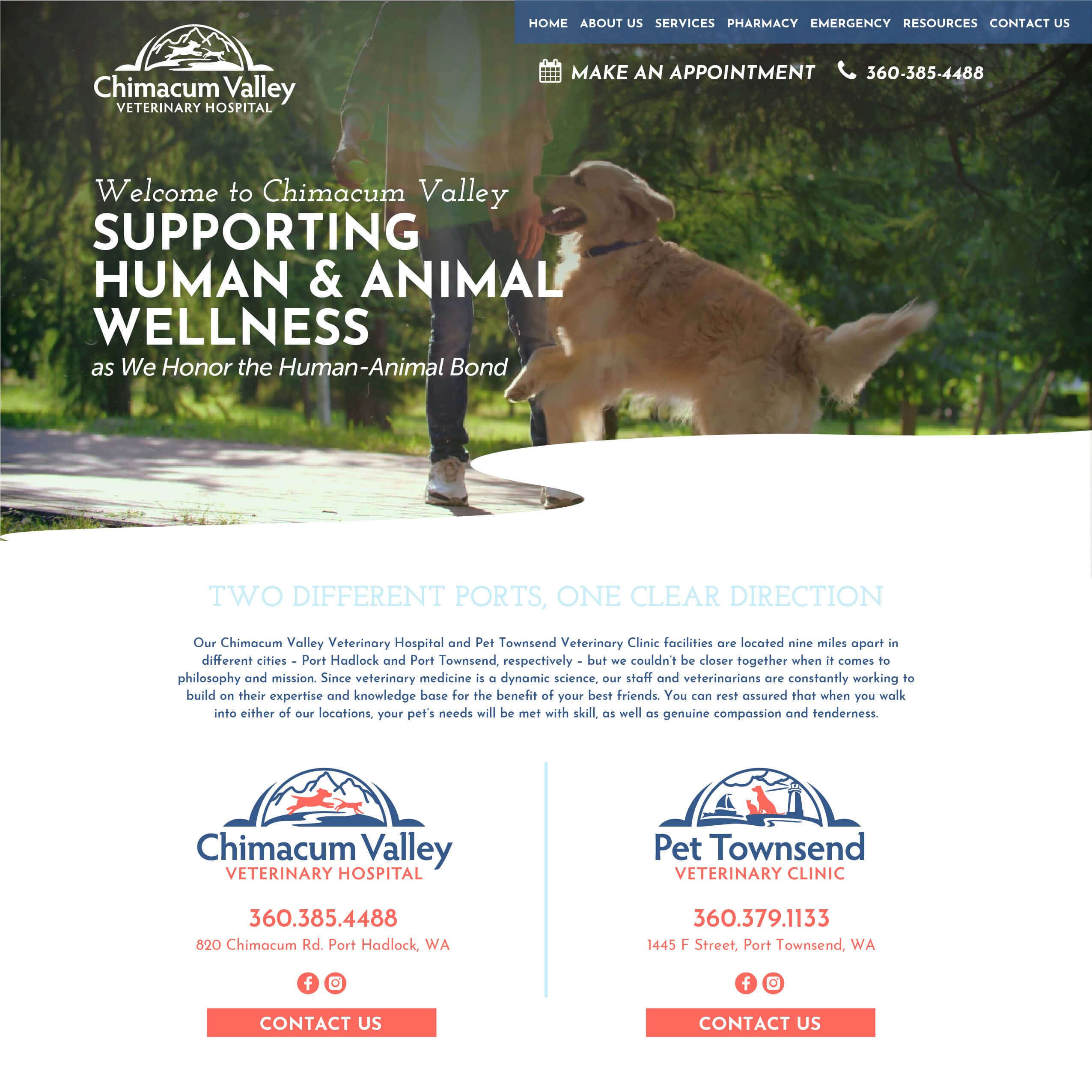 Industry Leading Veterinary site Design & Development