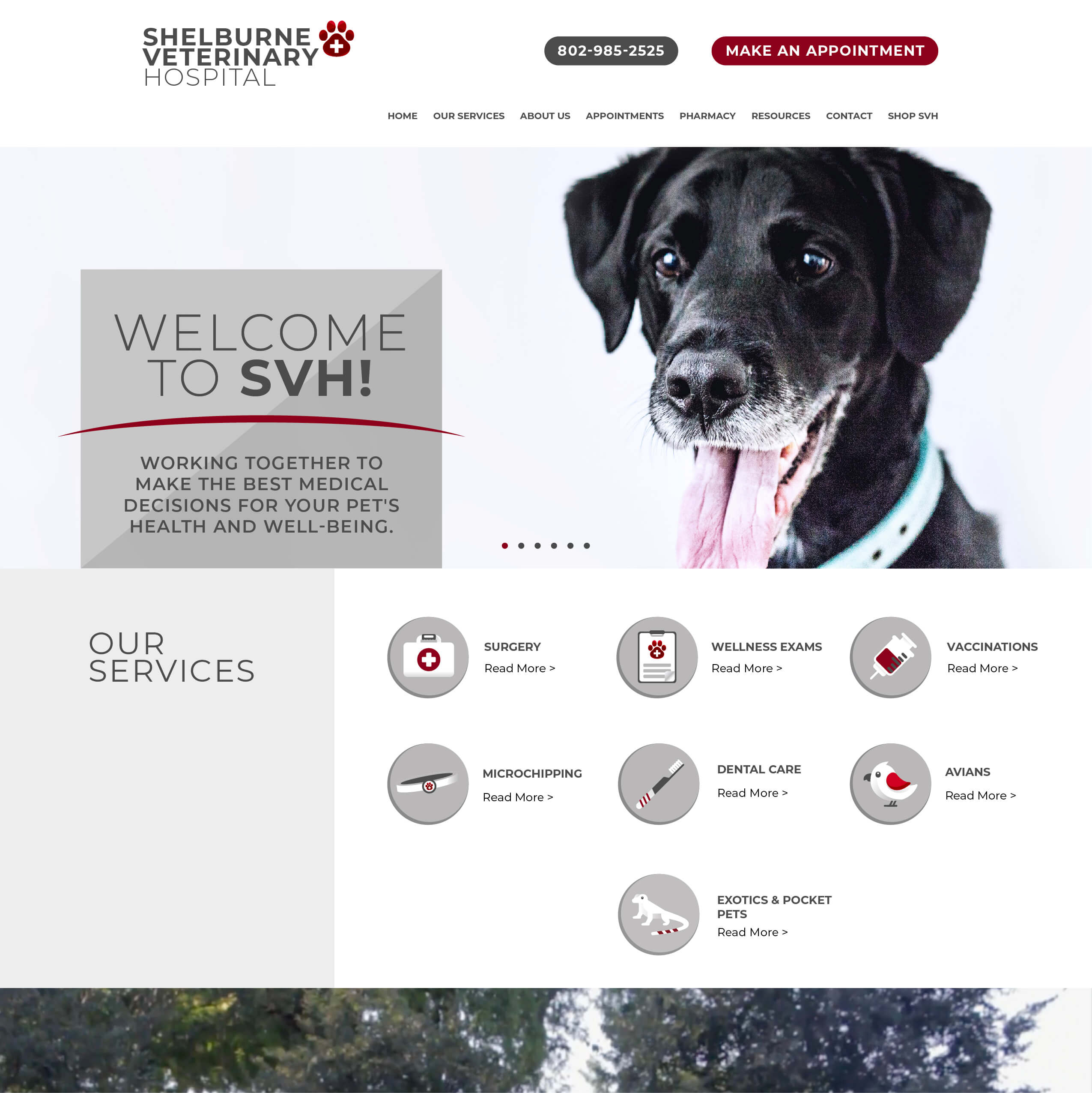 Industry Leading Veterinary site Design & Development