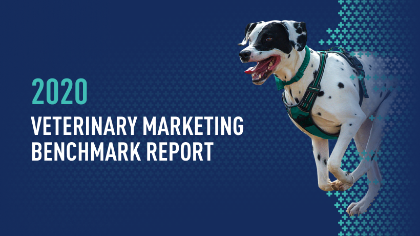 iVET360 Releases 2020 Veterinary Marketing Benchmark Report Free to Veterinary Practices