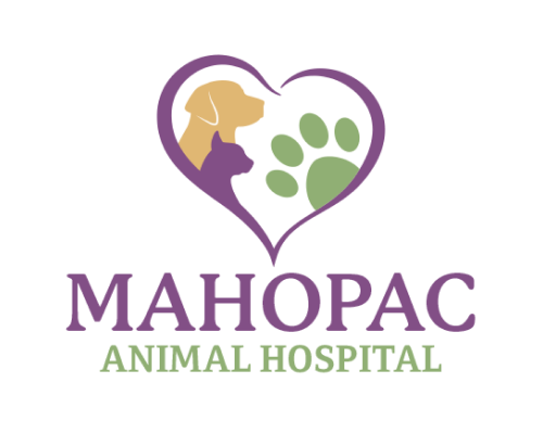 Veterinary Clinic Logo