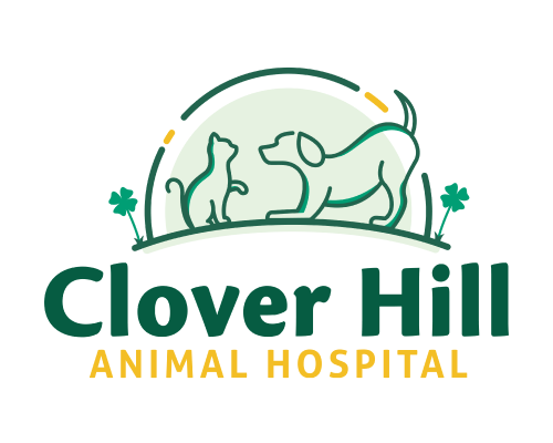 Award Winning Veterinary Logo & Brand Design by iVET360