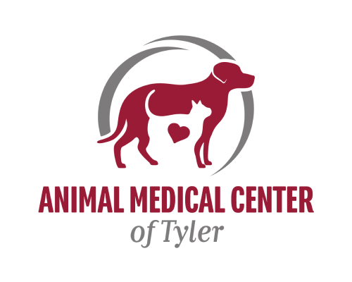 Award Winning Veterinary Logo & Brand Design by iVET360