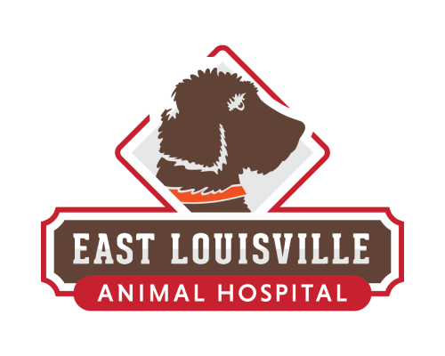 Animal Hospital Logo