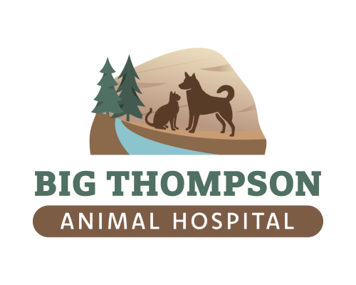 Animal Clinic Logo