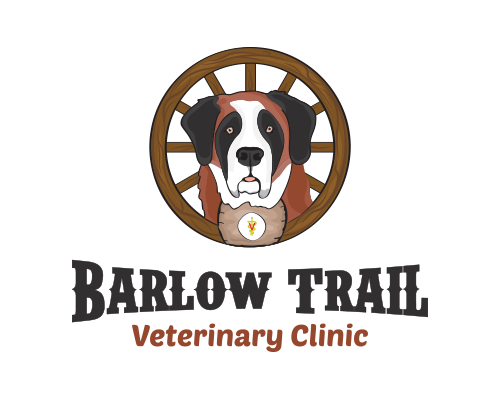 Veterinary Clinic Logo