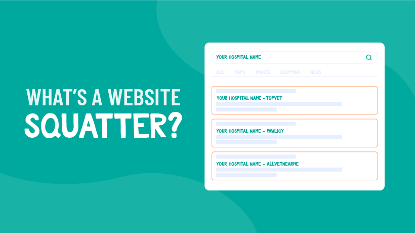 Website Squatters