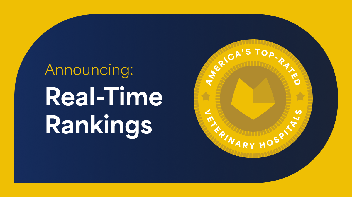 iVET360 Launches Reviews.vet: The First Real-Time Ranking of America’s Top-Rated Animal Hospitals