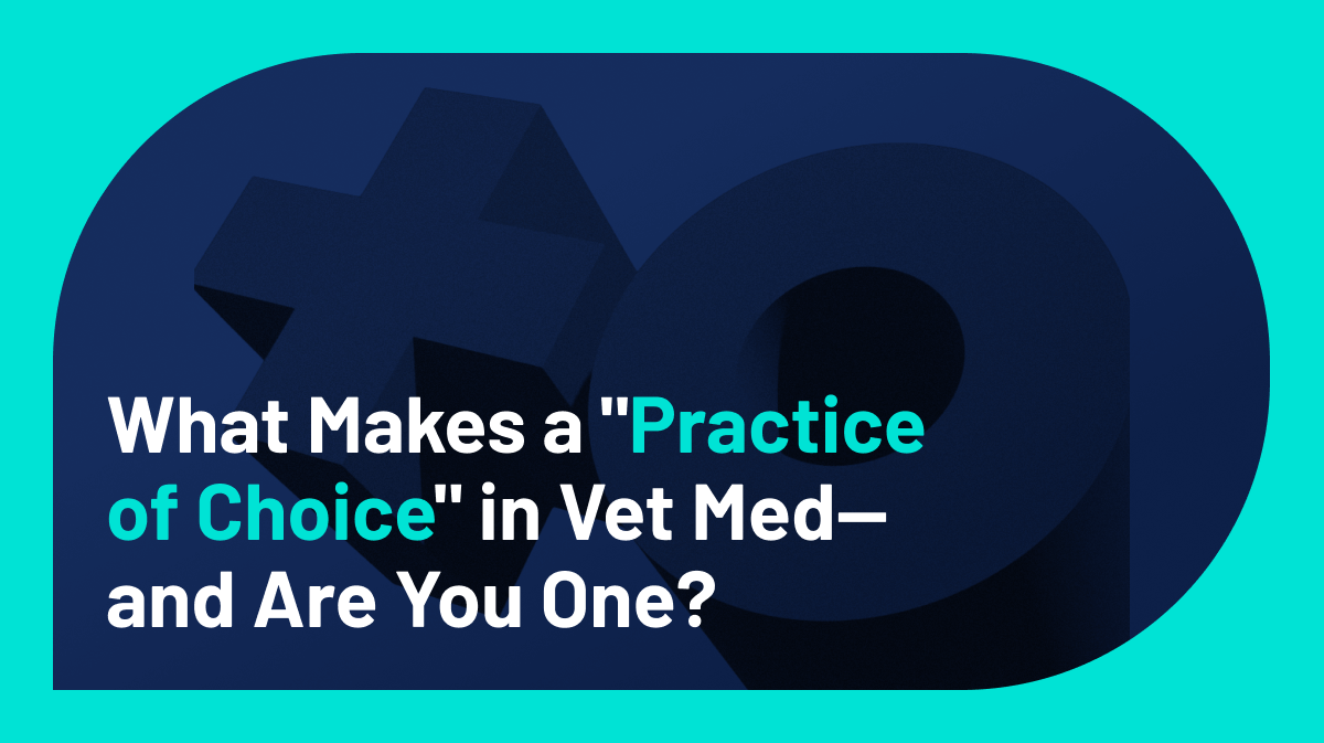 What Makes a “Practice of Choice” in Vet Med—and Are You One?