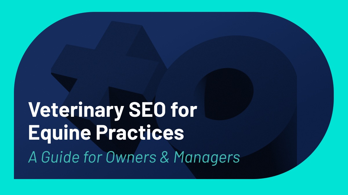 SEO for Equine Veterinary Practices