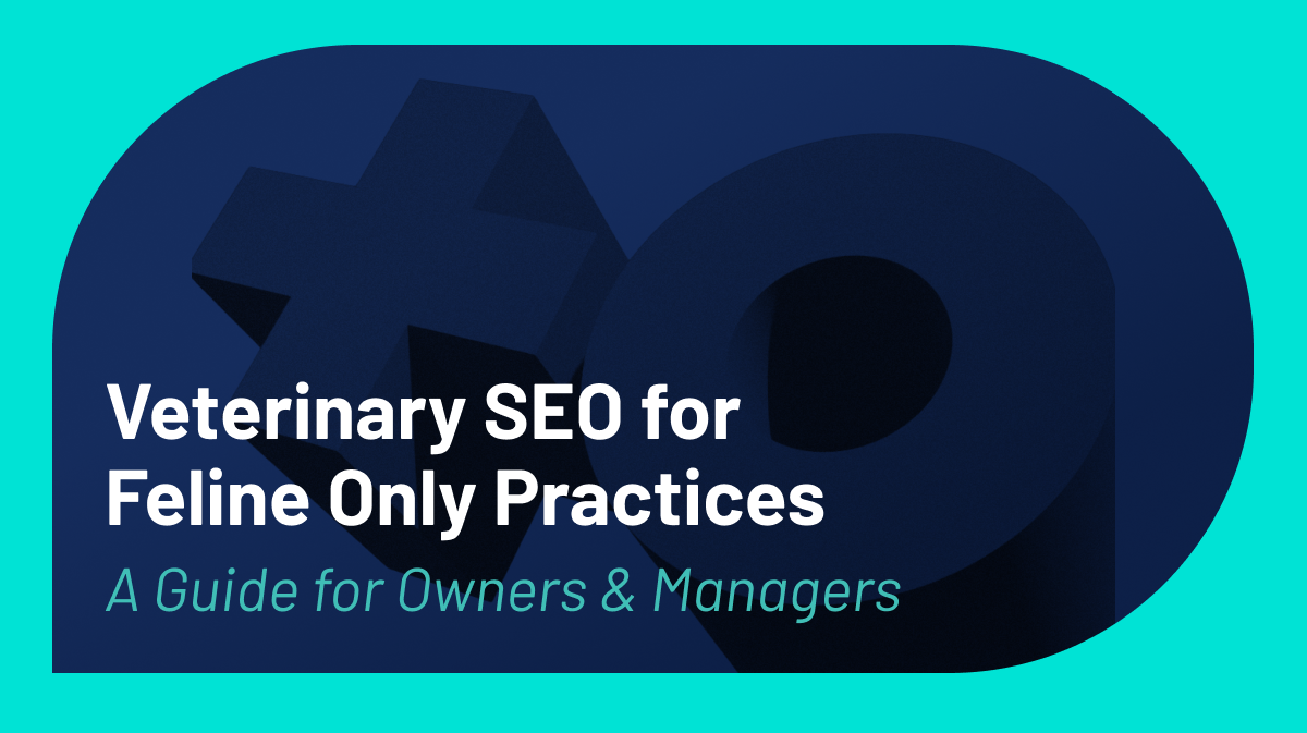 SEO for Feline-Only Veterinary Practices