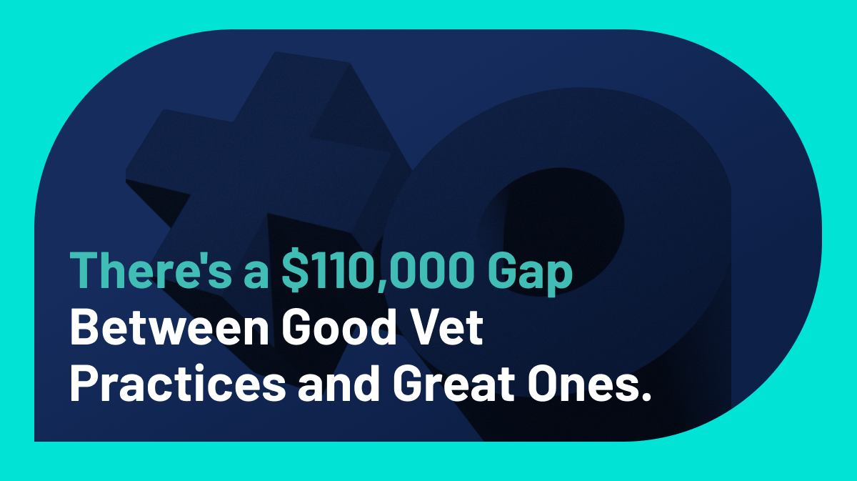 There’s a $110,000 Gap Between the Average Veterinary Practice and the Top Ones