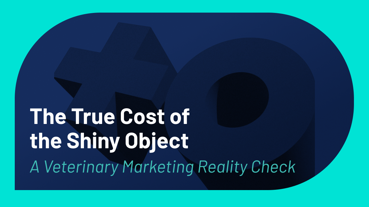 The True Cost of the Shiny Object