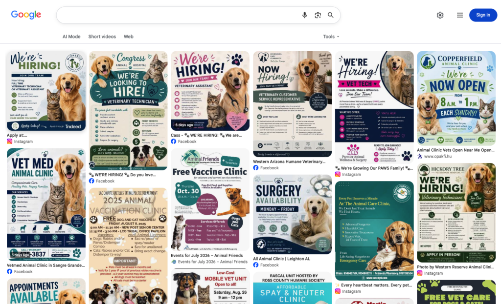 Google Image Veterinary Hospital AI Slop SERPs