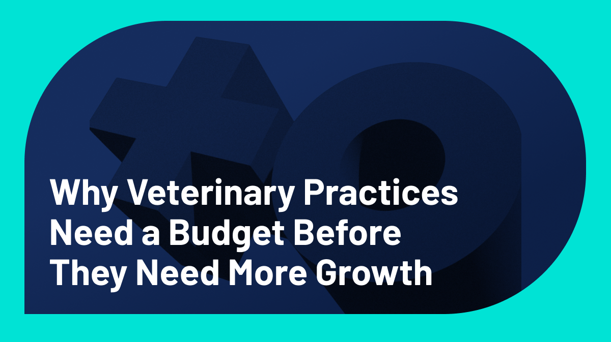 Why Veterinary Practices Need a Budget Before They Need More Growth